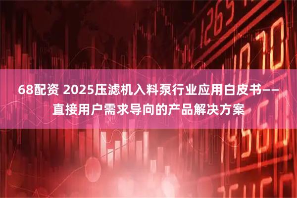 68配资 2025压滤机入料泵行业应用白皮书——直接用户需求导向的产品解决方案