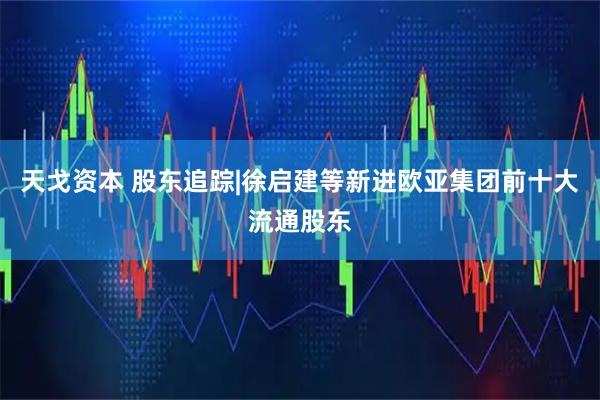 天戈资本 股东追踪|徐启建等新进欧亚集团前十大流通股东