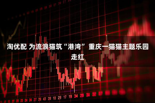 淘优配 为流浪猫筑“港湾” 重庆一猫猫主题乐园走红