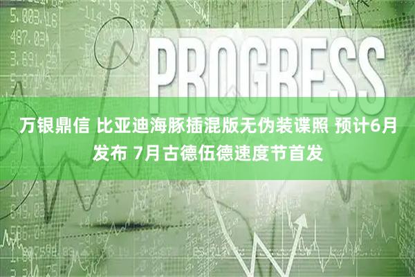 万银鼎信 比亚迪海豚插混版无伪装谍照 预计6月发布 7月古德伍德速度节首发
